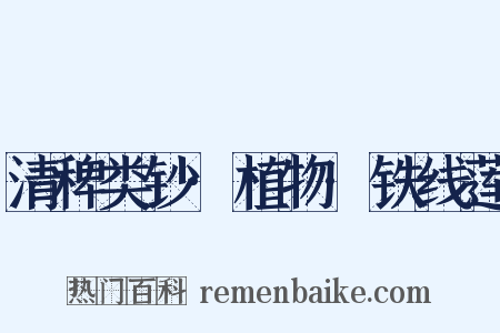 清稗类钞·植物·铁线莲是什么意思的图片
